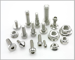 Stainless Steel Fasteners